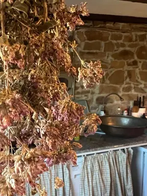 a bunch of dried flowers hanging over a stove at Ta Petrina Cottage in Selishte