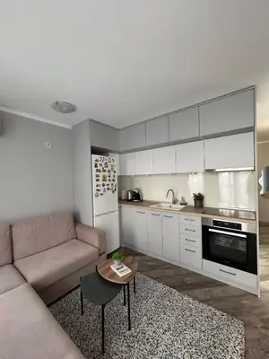 a living room with a couch and a kitchen at Tanov Cozy Place in Blagoevgrad