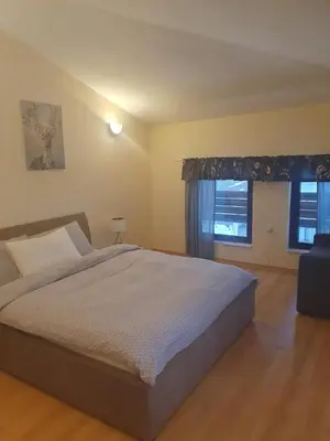 a bedroom with a large bed and two windows at Apartment Sunny in Pamporovo