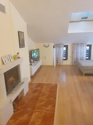 a living room with a fireplace and a couch at Apartment Sunny in Pamporovo