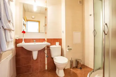 a bathroom with a toilet and a sink and a shower at Fantastic 1-bedroom apartment Stream Resort in Pamporovo