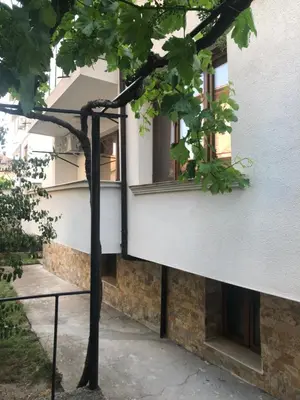 a tree in front of a building with windows at При Бети in Sandanski