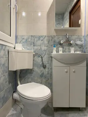 a bathroom with a toilet and a sink at Панорама in Panagyurishte