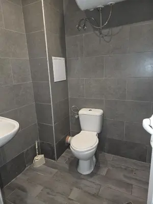 a bathroom with a toilet and a sink at Green Oasis in Sofia