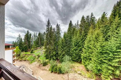 an overhead view of a forest of christmas trees at Forest Harmony 1BD with Balcony & Parking by Flat Manаger in Smolyan