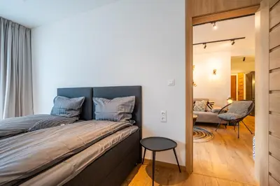 a bedroom with a large bed and a mirror at Arte Apartment in Sofia