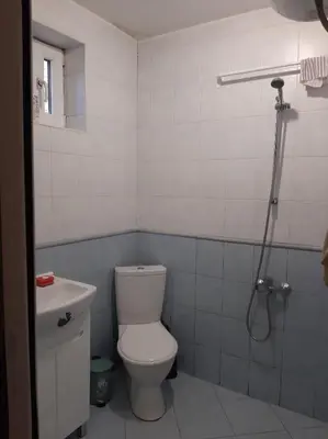 a bathroom with a toilet and a shower at Дом Борисови in Sofia