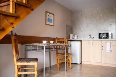 a kitchen with a table and chairs in a room at Villa Veselina Loft Studios in Hisarya