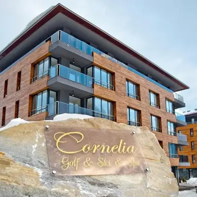 Ski Retreat Spa Pool and Mountain Views