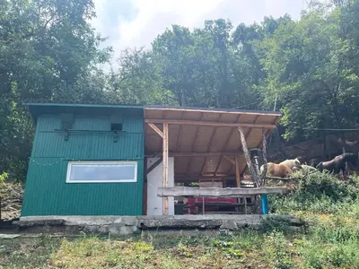 a small green shed with horses in the background at Kъщичка в полите на планина Витоша с коне и животни in Sofia