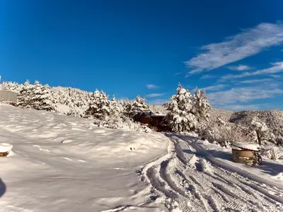 a snow covered road with footprints in the snow at Villa INDIANA Devin in Devin