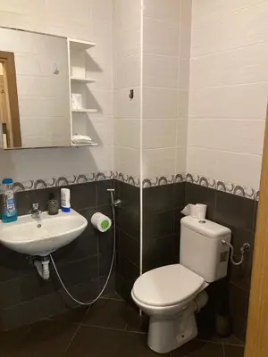 a bathroom with a toilet and a sink at Kyluks 1BR Apartment in Sofia