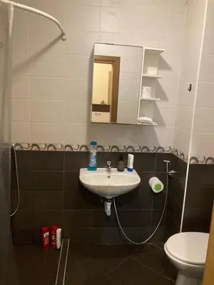 a bathroom with a sink and a toilet at Kyluks 1BR Apartment in Sofia