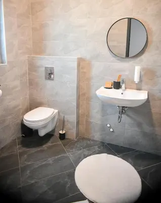 a bathroom with a toilet and a sink and a mirror at Villa Alveare in Banya