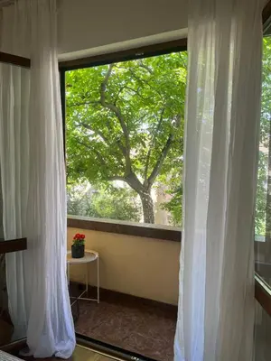 a window with white curtains in front of a tree at Dunav 11 in Sofia
