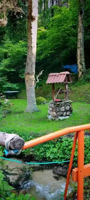 a picnic table and a pond in a park at Villa Byala Luna - Guest House in Bistriza