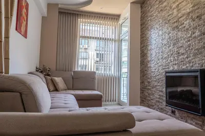 a living room with a couch and a fireplace at Sofia Downtown Apartment in Sofia