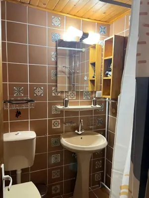 a small bathroom with a sink and a toilet at Complex Popangelov in Borovets