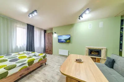 a bedroom with a bed and a couch and a fireplace at Two Cozy Mint Studios in Grand Resort Pamporovo by Flat Manager in Pamporovo