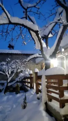 a fence and a tree covered in snow at The Old Cherry House in Razlog