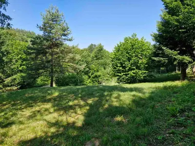 a large grassy field with trees in the background at Bendji Land - vacation hideaway, close to Sofia in Ribarica
