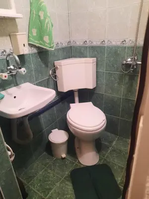 a bathroom with a white toilet and a sink at Villa Silvinka in Dospat