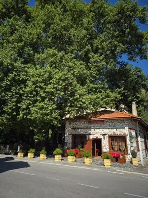 a small stone building with potted plants on the street at Стария Чинар in Melnik