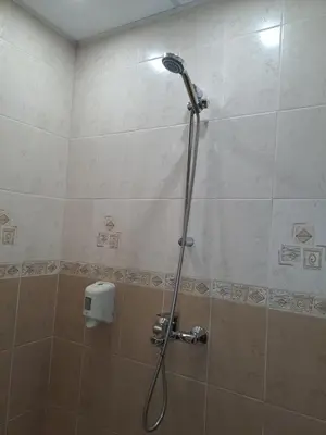 a shower with a shower head in a bathroom at Стария Чинар in Melnik
