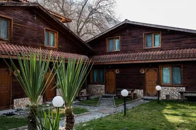 a wooden house with some palm trees in front of it at Стария Чинар in Melnik