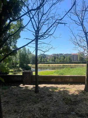 a tree in a park next to a body of water at Guest House Amaya Riva in Plovdiv