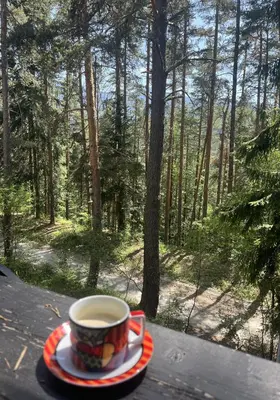 a cup of coffee sitting on a table in the woods at Chamkoria Forest View & Spa Apartment in Borovets