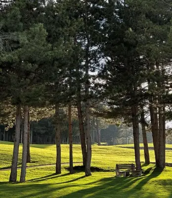 a park with a bench and trees in the grass at Nature Escape to Pirin Golf in Razlog