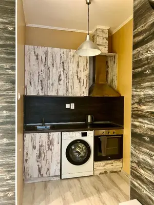 a kitchen with a washing machine and a washer at Flower house 1 in Sofia