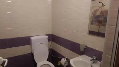 a bathroom with a toilet and a sink at Стаи за гости Деметра in Sofia