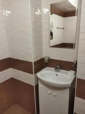 a bathroom with a sink and a mirror at Стаи за гости Деметра in Sofia