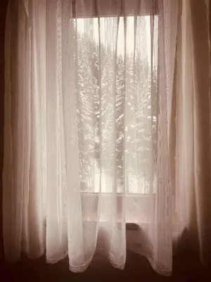 a window with white curtains and a tree at Studio Harmony, Pamporovo in Pamporovo
