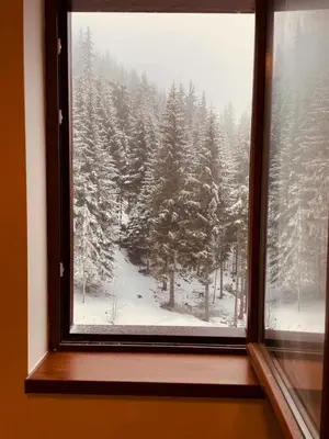 a window with a view of a snow covered forest at Studio Harmony, Pamporovo in Pamporovo