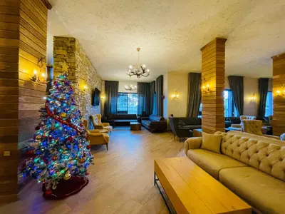 a christmas tree in the middle of a living room at Studio Harmony, Pamporovo in Pamporovo