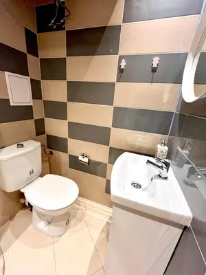 a bathroom with a toilet and a sink at Winter Palace Vitosha View Studio in Sofia