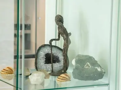 a glass display case with a rock and some shells at Villa Stemara in Razlog