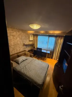 a bedroom with a bed and a desk in a room at Apart Burel 56 in Sofia