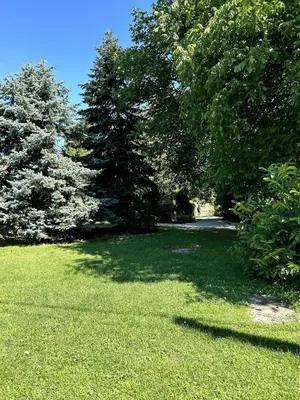 a field of grass with trees in the background at Guest House Efrosina in Glozhene