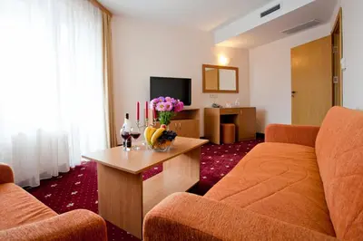 a living room with a couch and a table with flowers at Hotel Coop Rozhen in Pamporovo