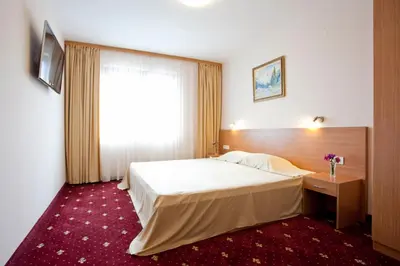 a hotel room with a bed and a window at Hotel Coop Rozhen in Pamporovo