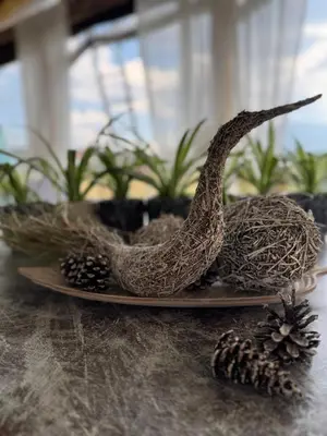 a plate with two bird nests on a table at Stenata LightWill in Banya