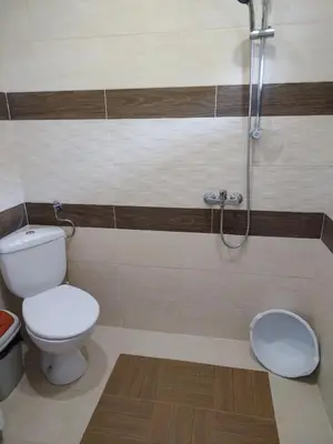 a bathroom with a toilet and a shower at Къща за гости Св Никола in Tschepinzi