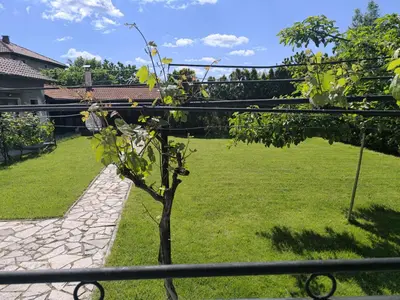 a small tree in the yard of a house at City Garden - Amazing Garden for party and friends in Kostinbrod
