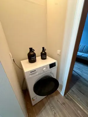 a washing machine with two vases on top of it at Grand Resort Pamporovo b19 in Pamporovo