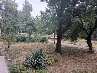 a park with a tree and plants and a road at Zoraja in Sofia
