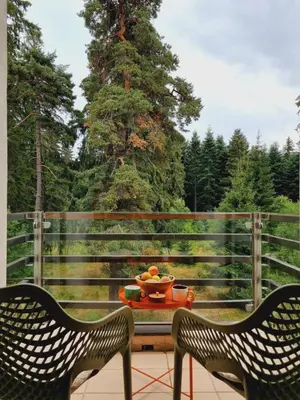 two chairs and a table with a bowl of fruit at Private Studio Pine Whisper 4 pax in Euphoria Club in Borovets